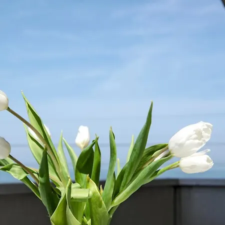 Apartment Gimarramare Fano